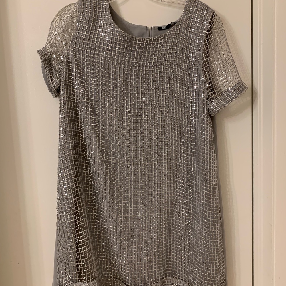 Silver sequined dress